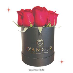 Box de 12 Rosas Rojas