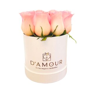 Box de 12 Rosas Rosado Bebe