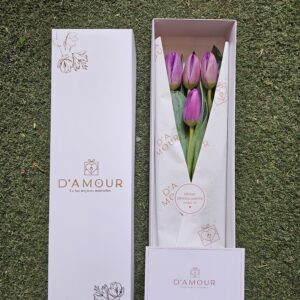 Caja de 4 tulipanes