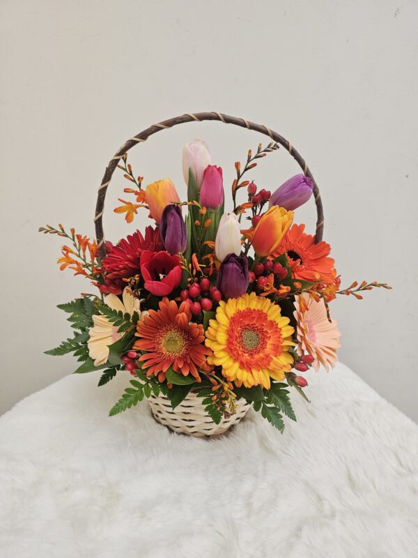 Cesto de Tulipanes y Gerberas