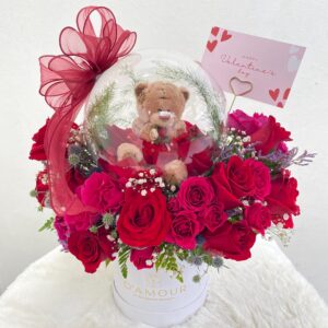 Box de rosas rojas  y peluche
