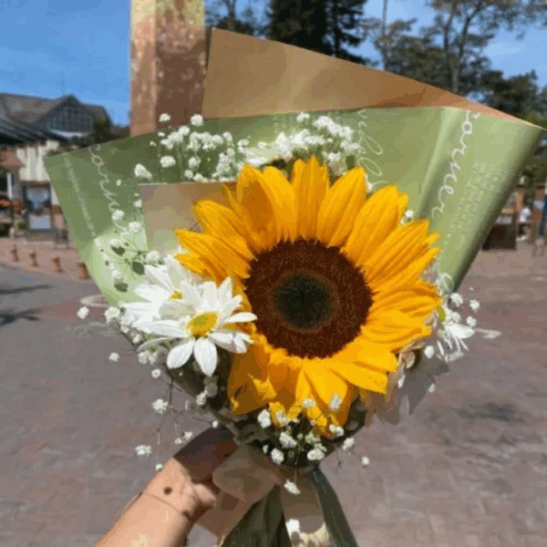 Ramo de un girasol
