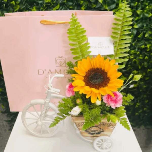 Bicicleta de un girasol