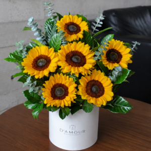 Box de 6 girasoles